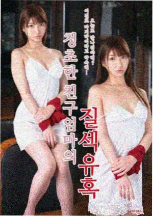 雾港迷情 电视剧免费观看全集